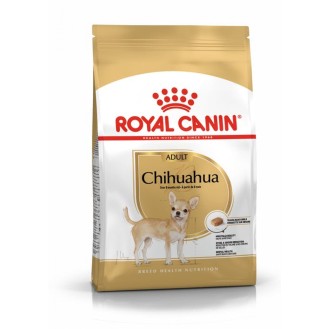 Chihuahua