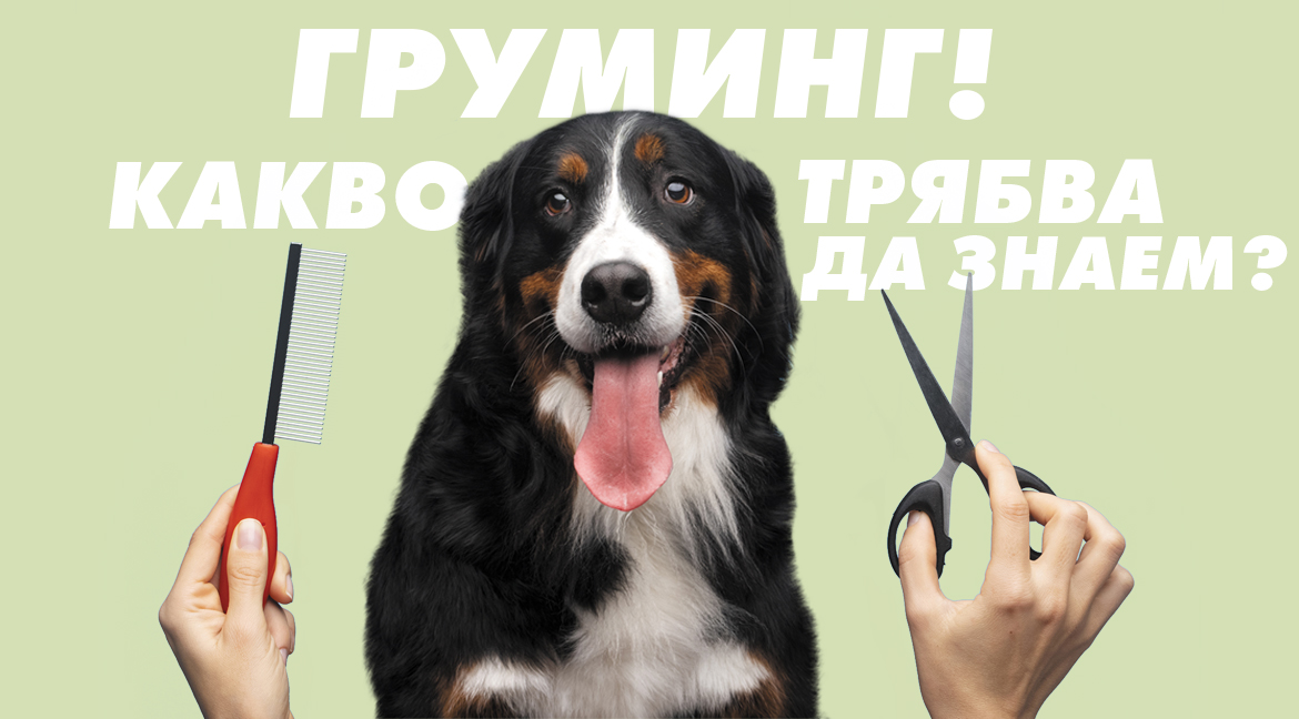 Последни новини