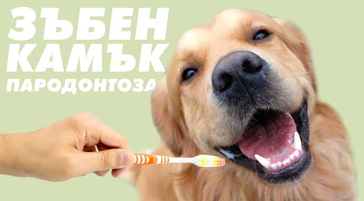 Последни новини