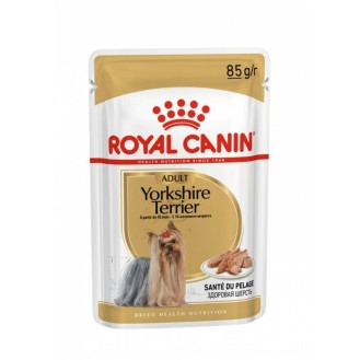 Yorkshire Terrier пастет