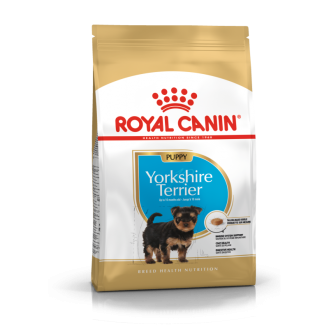 Yorkshire Terrier Puppy 500g