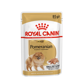 Pomeranian Pomeranian