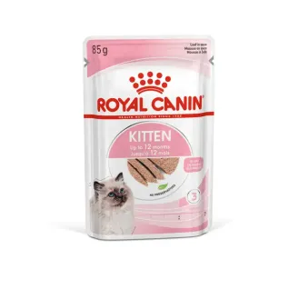KITTEN Chunks in gravy KITTEN Chunks in gravy