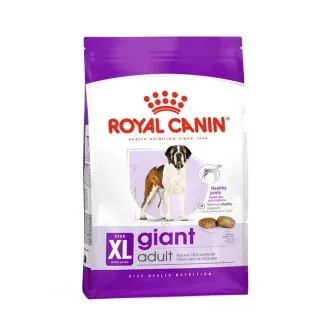 GIANT ADULT