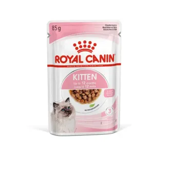 KITTEN Chunks in gravy KITTEN Chunks in gravy